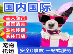 天吉泰空运地址国际宠物托运 【国